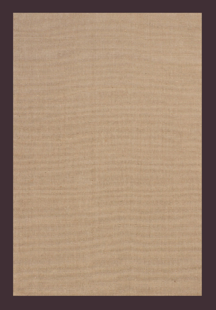 99 dollar natural sisa area rug 160cm x 230 cm